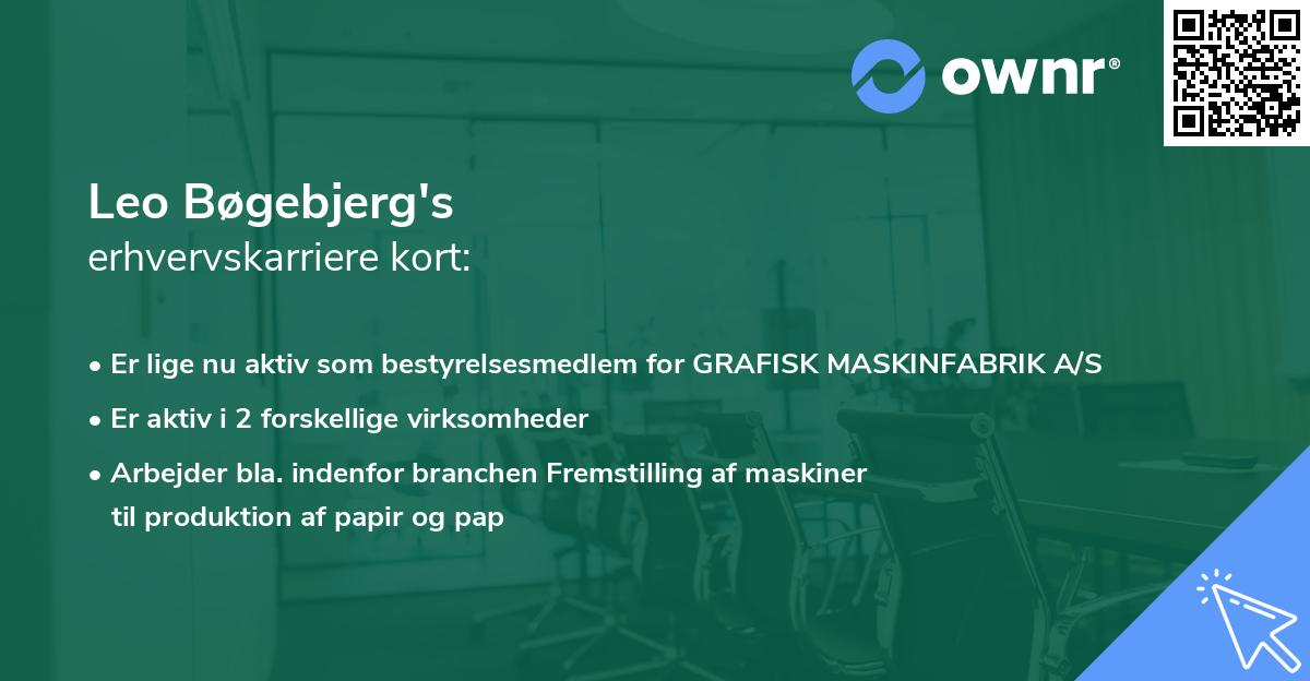 Leo Bøgebjerg's erhvervskarriere kort