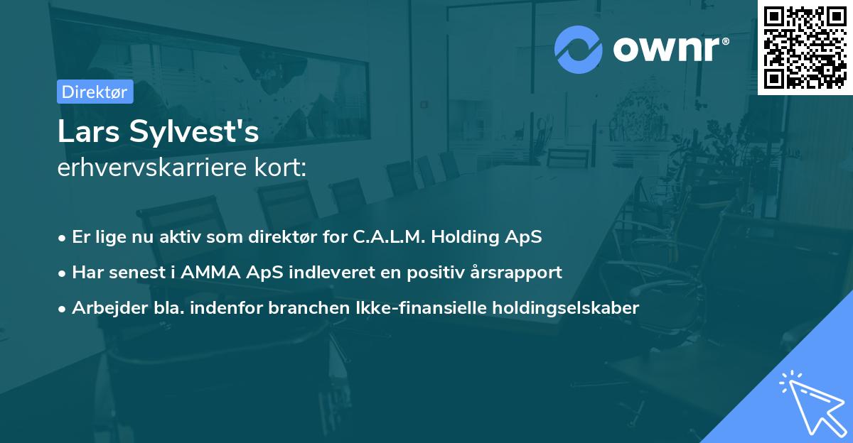 Lars Sylvest's erhvervskarriere kort