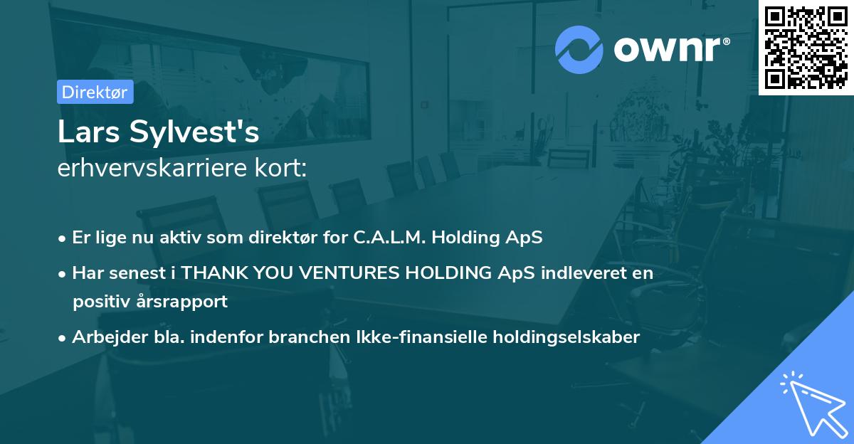 Lars Sylvest's erhvervskarriere kort