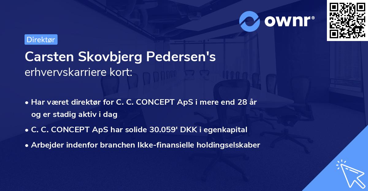 Carsten Skovbjerg Pedersen's erhvervskarriere kort