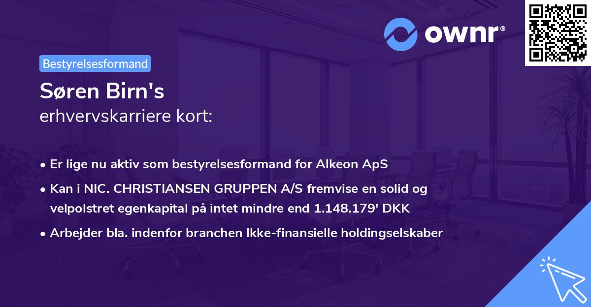 Søren Birn's erhvervskarriere kort
