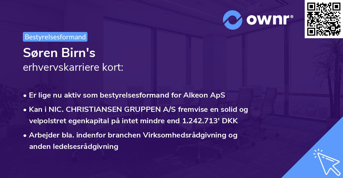Søren Birn's erhvervskarriere kort