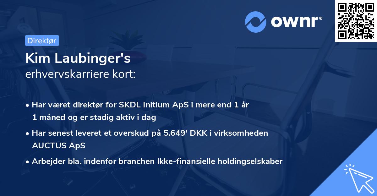 Kim Laubinger's erhvervskarriere kort