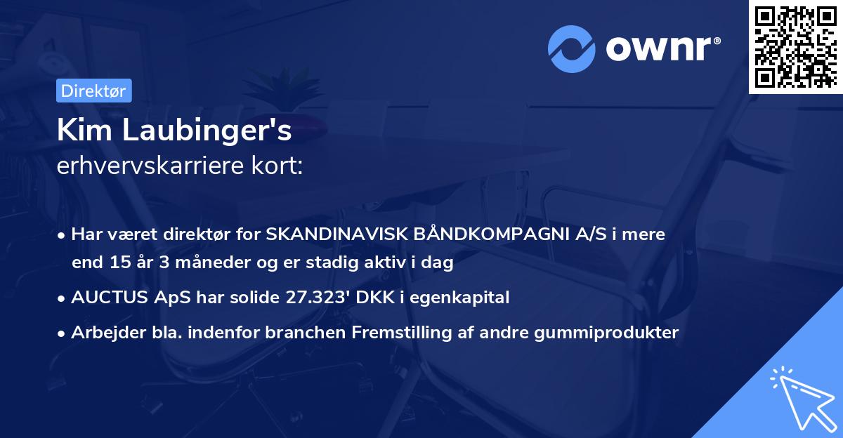 Kim Laubinger's erhvervskarriere kort