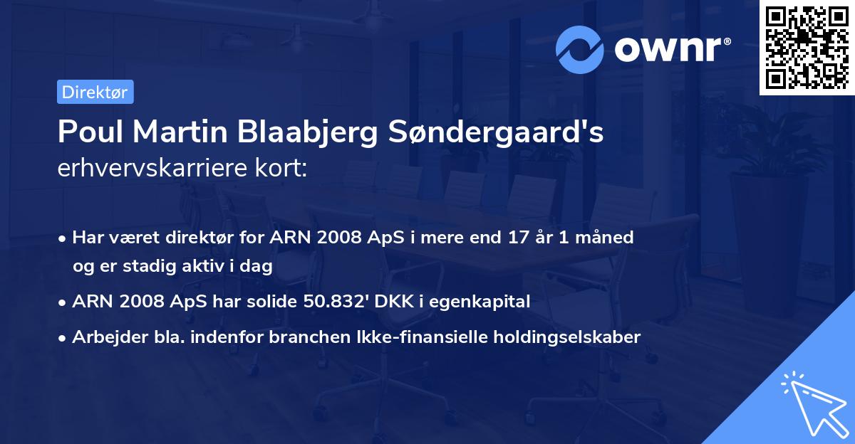 Poul Martin Blaabjerg Søndergaard's erhvervskarriere kort