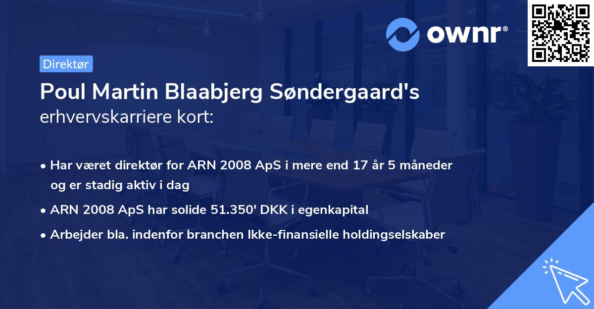 Poul Martin Blaabjerg Søndergaard's erhvervskarriere kort