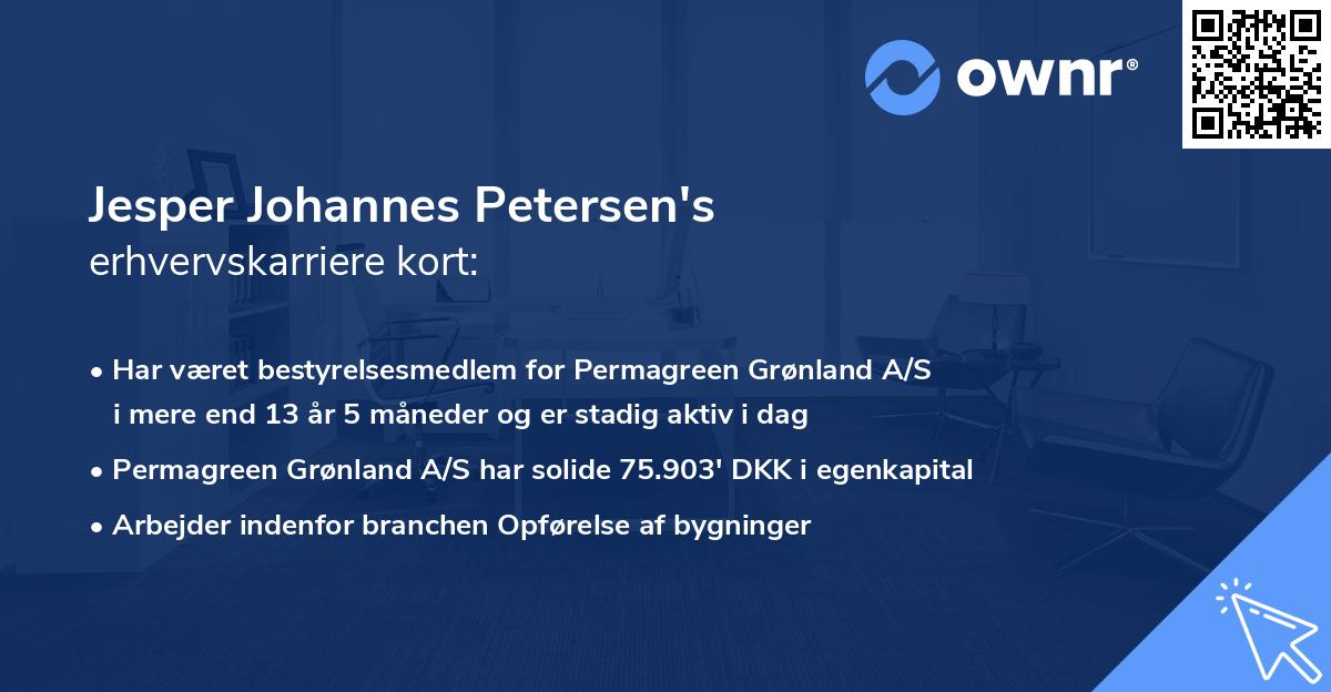 Jesper Johannes Petersen's erhvervskarriere kort