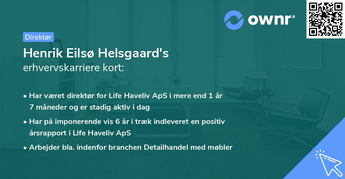 Henrik Eilsø Helsgaard's erhvervskarriere kort