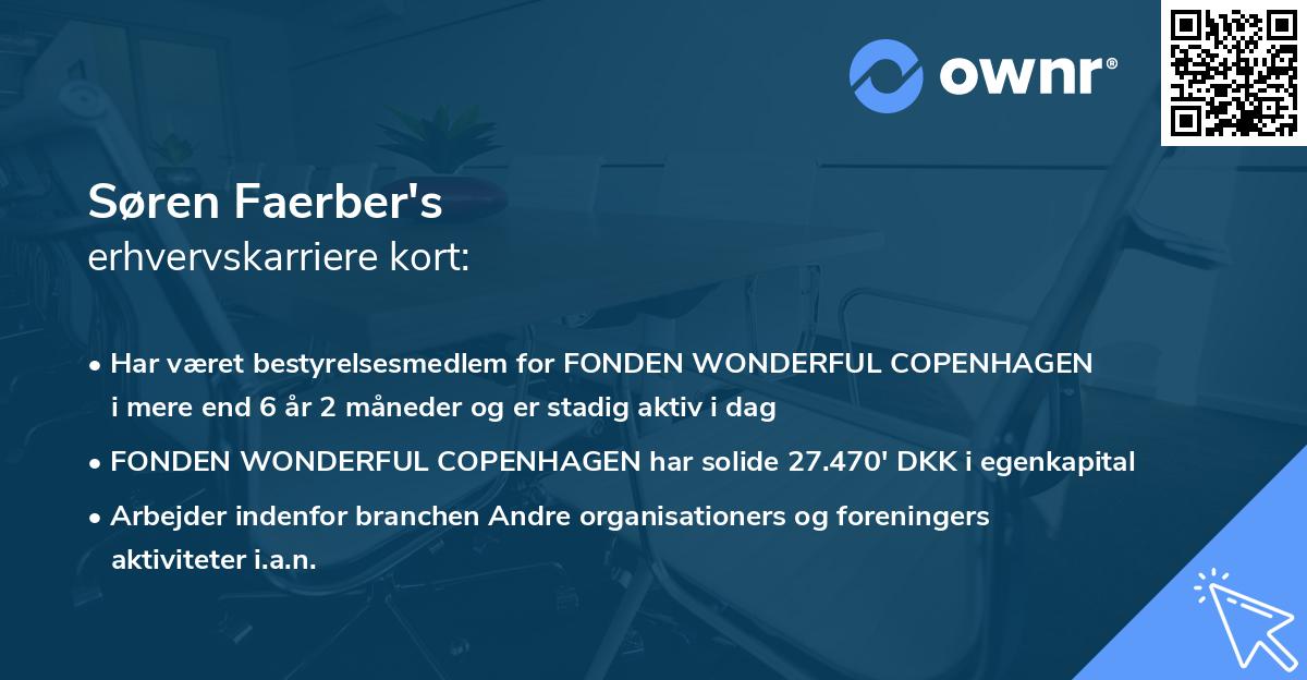 Søren Faerber's erhvervskarriere kort