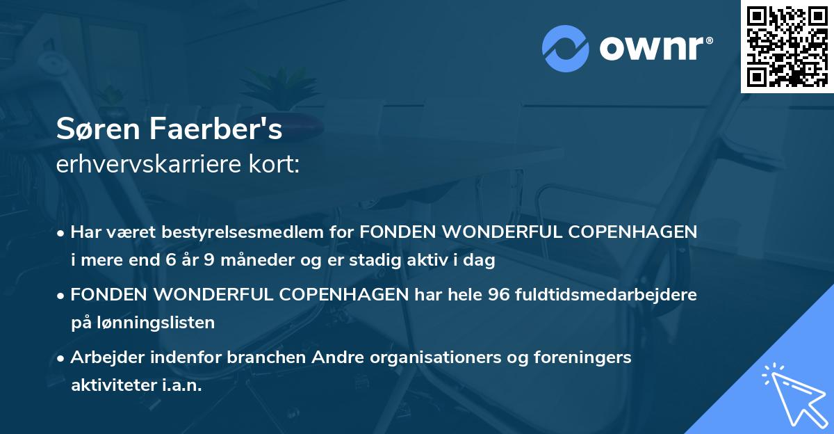 Søren Faerber's erhvervskarriere kort