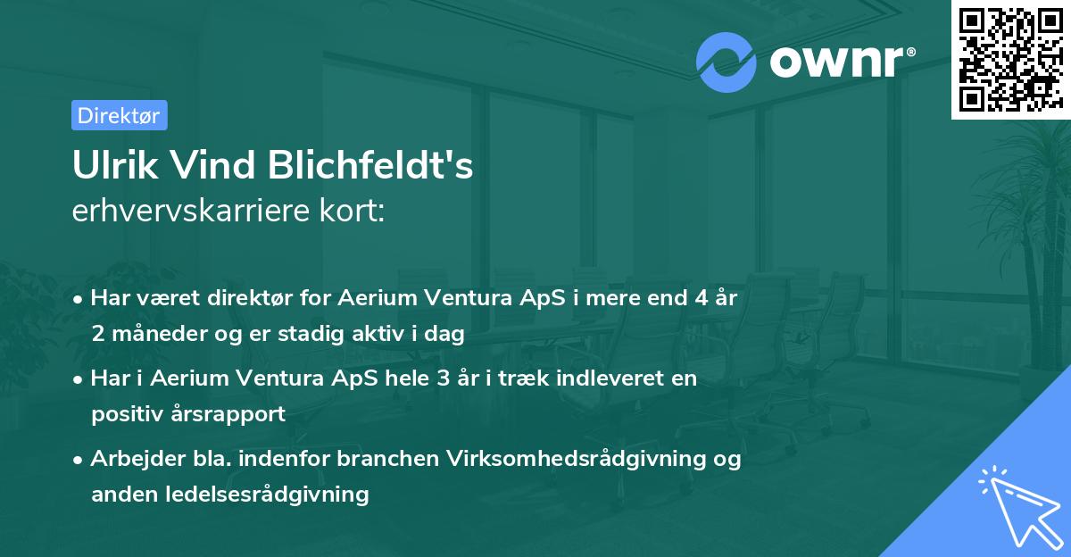 Ulrik Vind Blichfeldt's erhvervskarriere kort