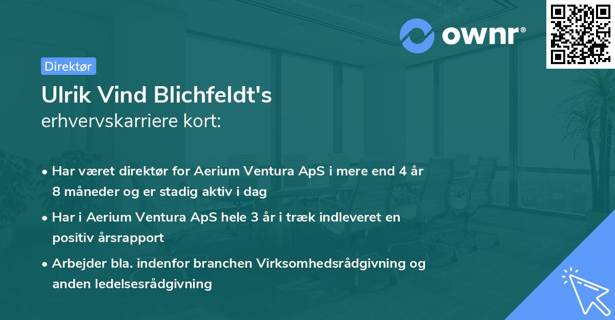 Ulrik Vind Blichfeldt's erhvervskarriere kort