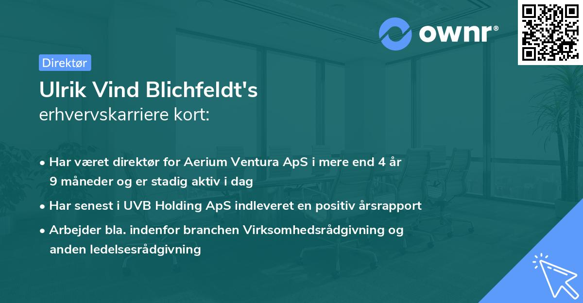 Ulrik Vind Blichfeldt's erhvervskarriere kort