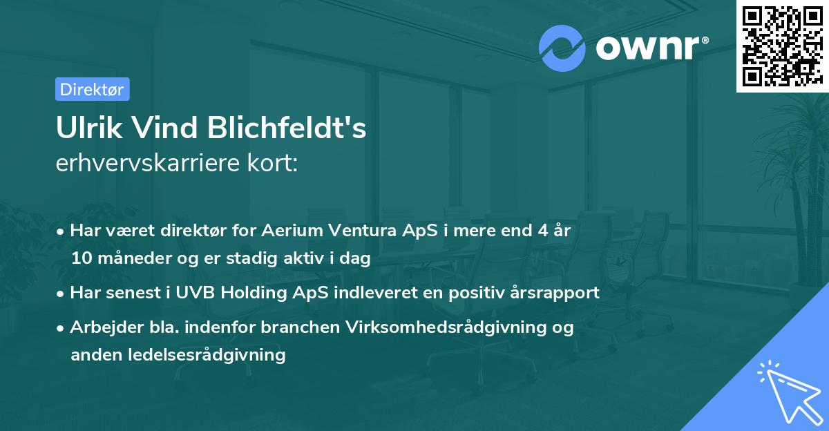 Ulrik Vind Blichfeldt's erhvervskarriere kort