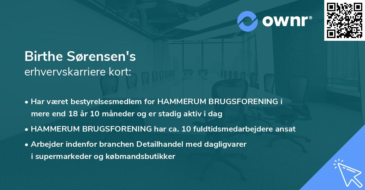 Birthe Sørensen's erhvervskarriere kort