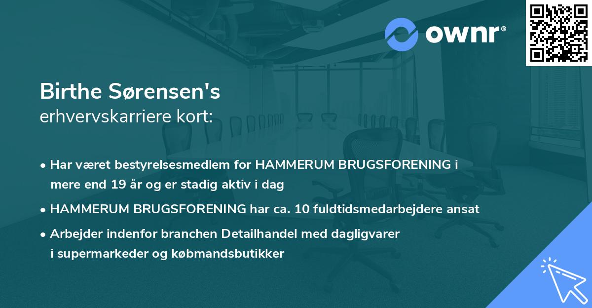 Birthe Sørensen's erhvervskarriere kort