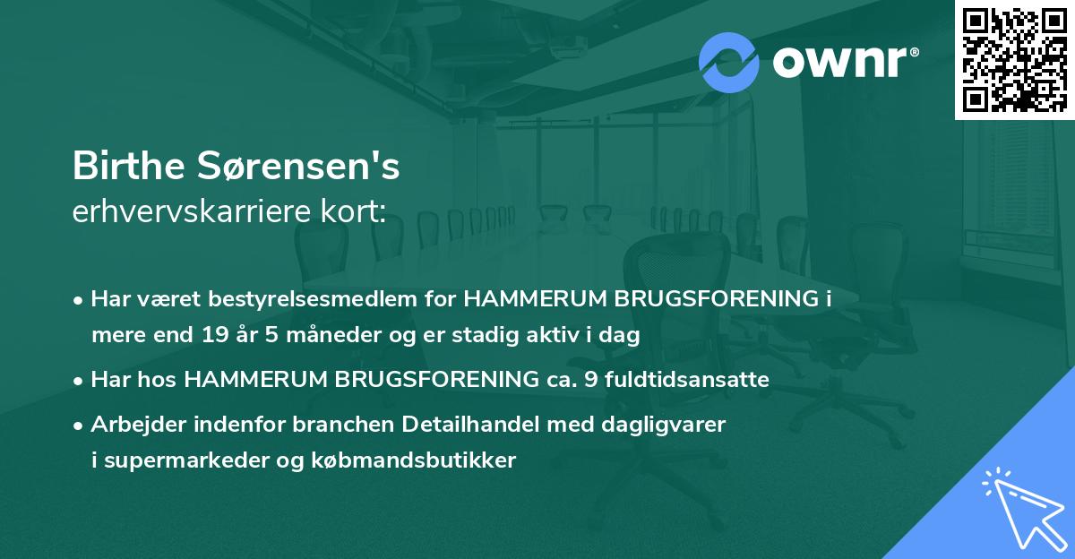 Birthe Sørensen's erhvervskarriere kort