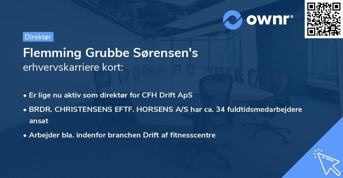 Flemming Grubbe Sørensen's erhvervskarriere kort
