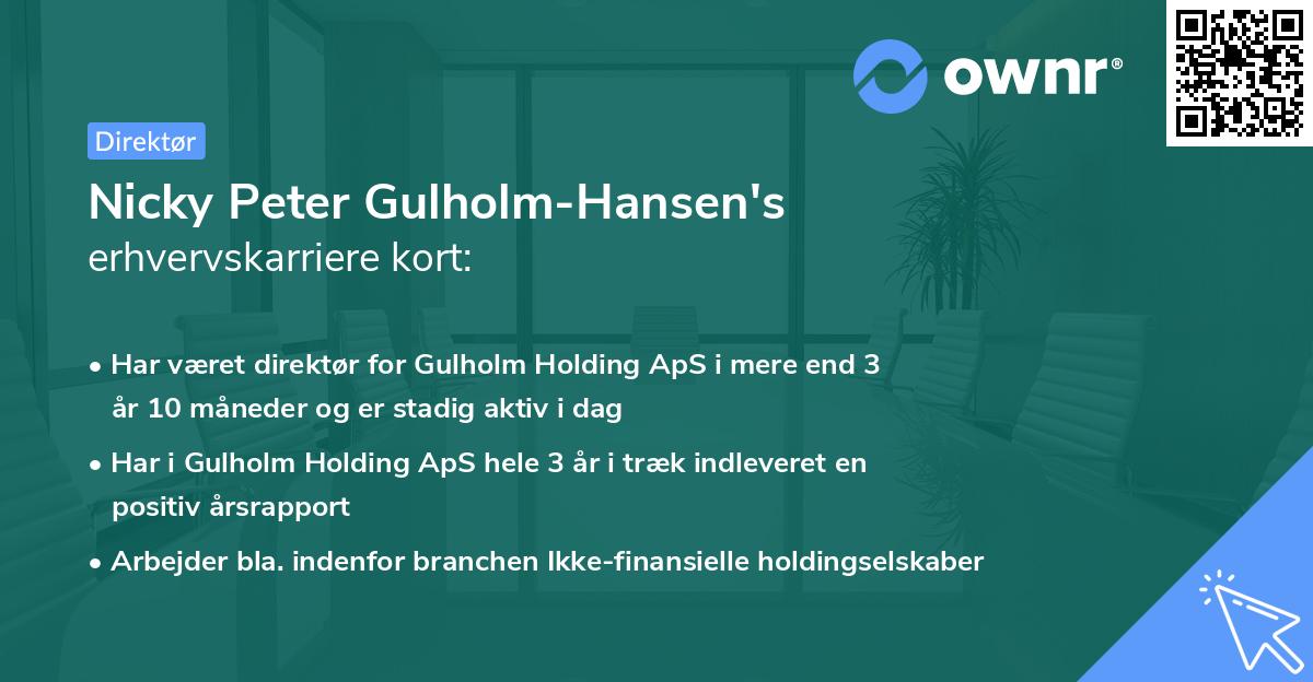 Nicky Peter Gulholm-Hansen's erhvervskarriere kort