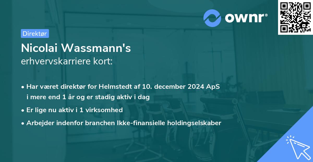 Nicolai Wassmann's erhvervskarriere kort