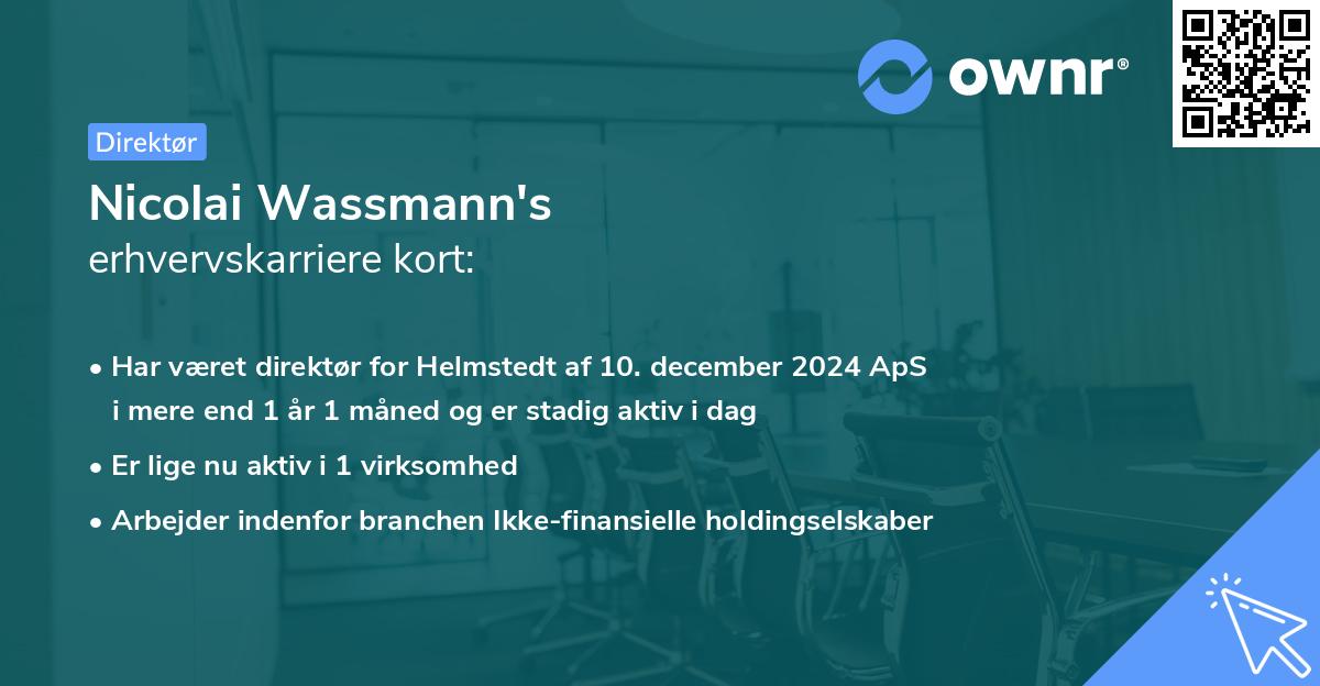 Nicolai Wassmann's erhvervskarriere kort