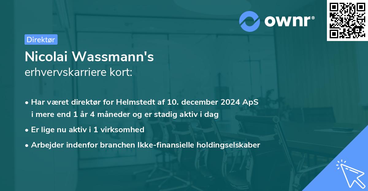 Nicolai Wassmann's erhvervskarriere kort
