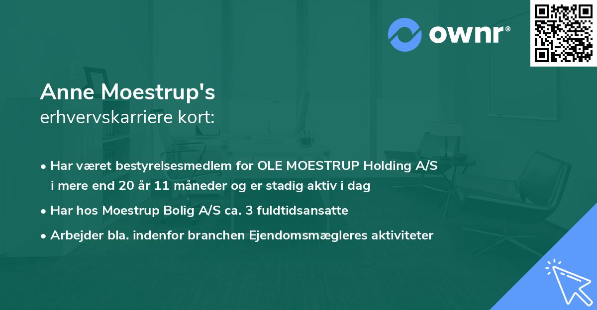 Anne Moestrup's erhvervskarriere kort