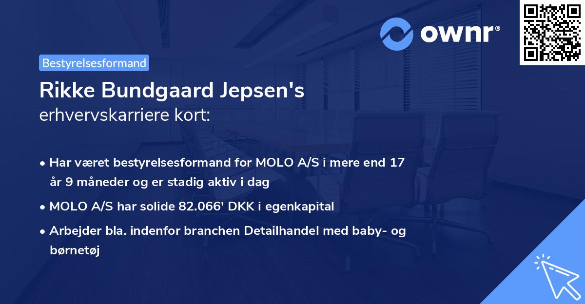 Rikke Bundgaard Jepsen's erhvervskarriere kort