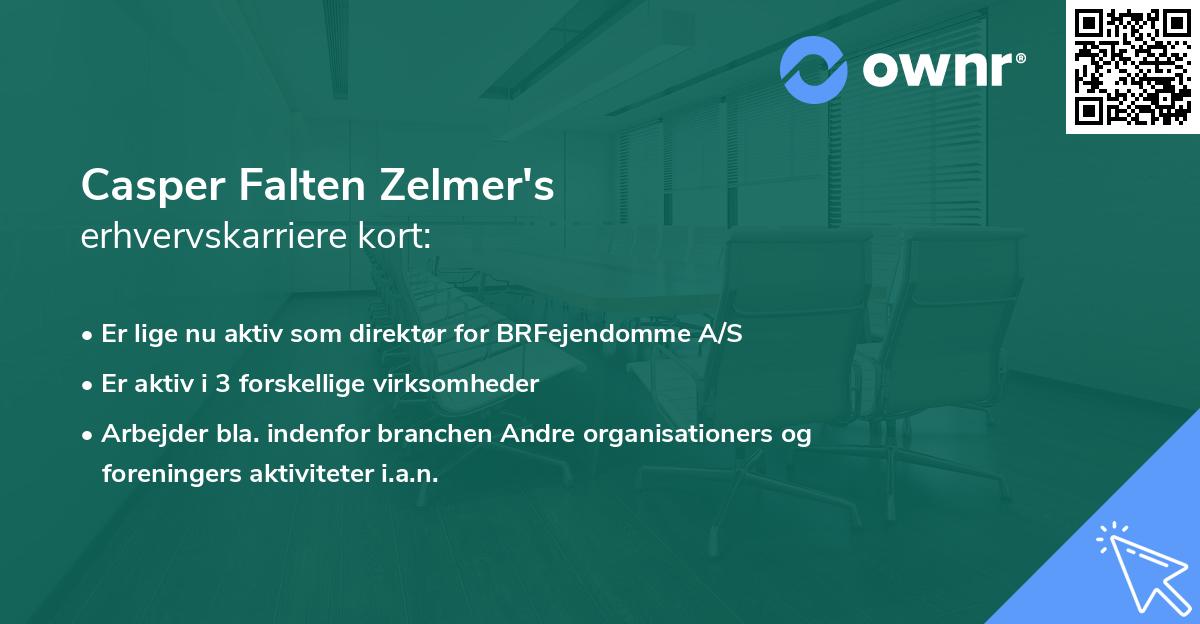 Casper Falten Zelmer's erhvervskarriere kort