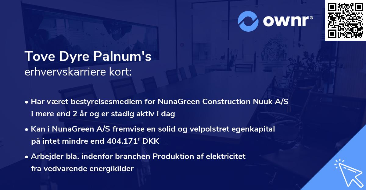 Tove Dyre Palnum's erhvervskarriere kort