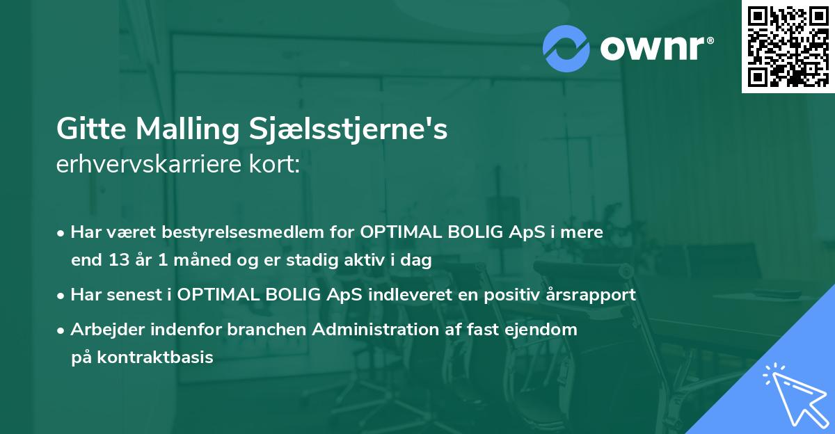 Gitte Malling Sjælsstjerne's erhvervskarriere kort