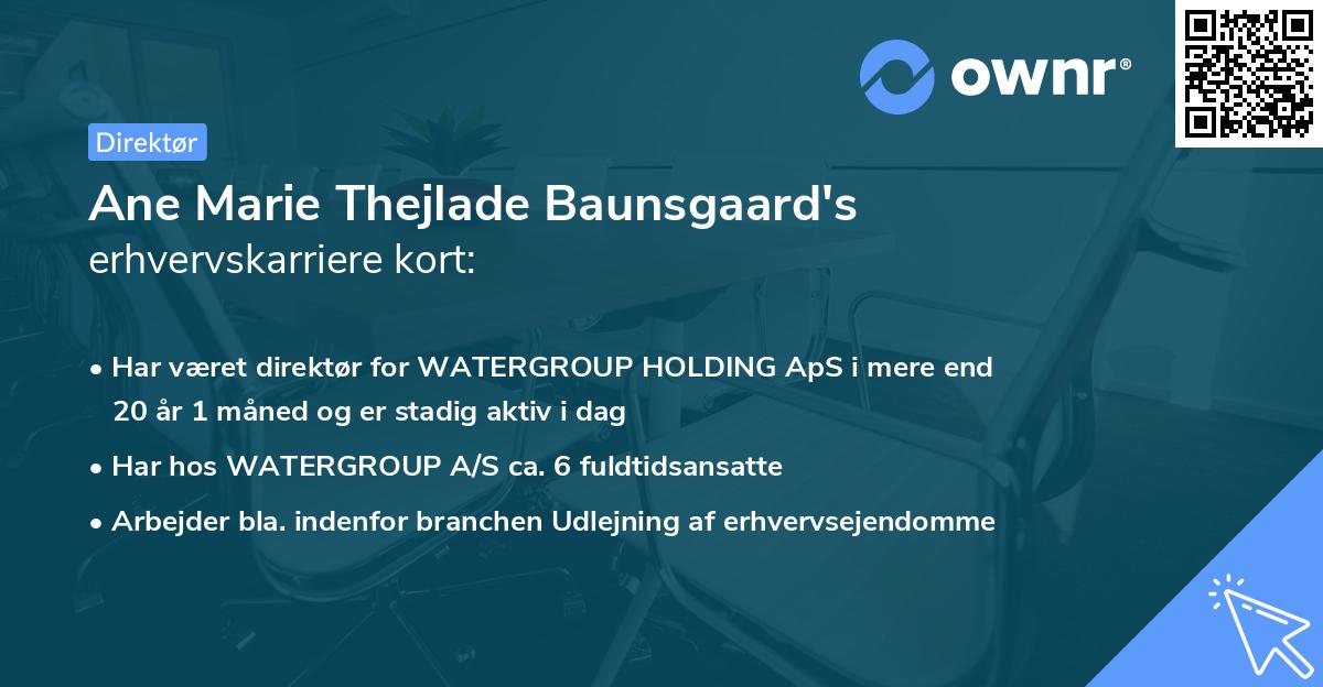 Ane Marie Thejlade Baunsgaard's erhvervskarriere kort