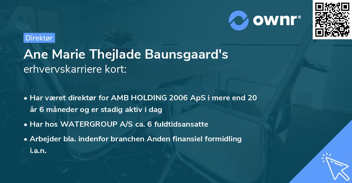 Ane Marie Thejlade Baunsgaard's erhvervskarriere kort