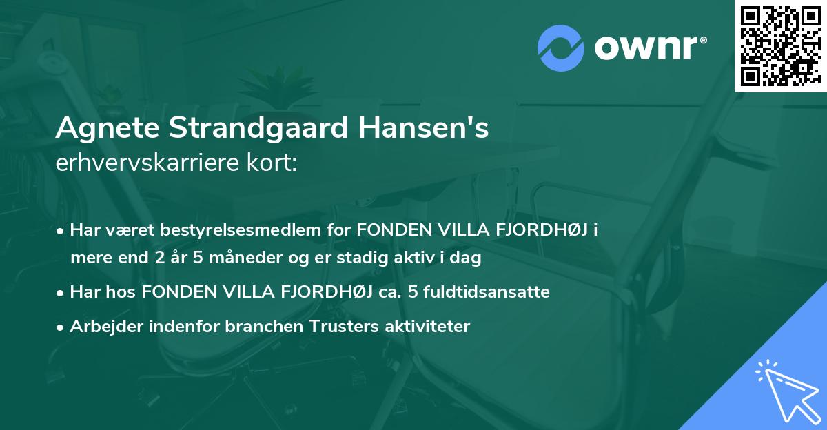 Agnete Strandgaard Hansen's erhvervskarriere kort