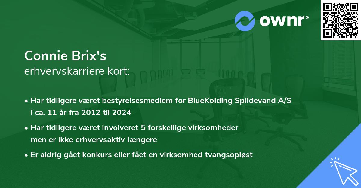 Connie Brix's erhvervskarriere kort