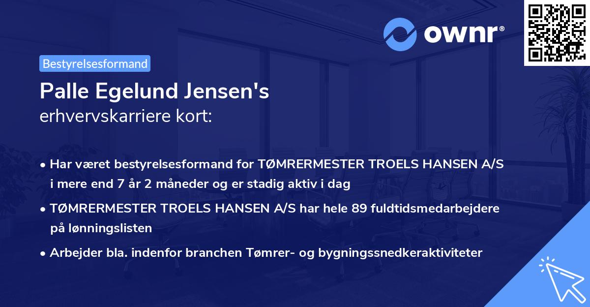 Palle Egelund Jensen's erhvervskarriere kort