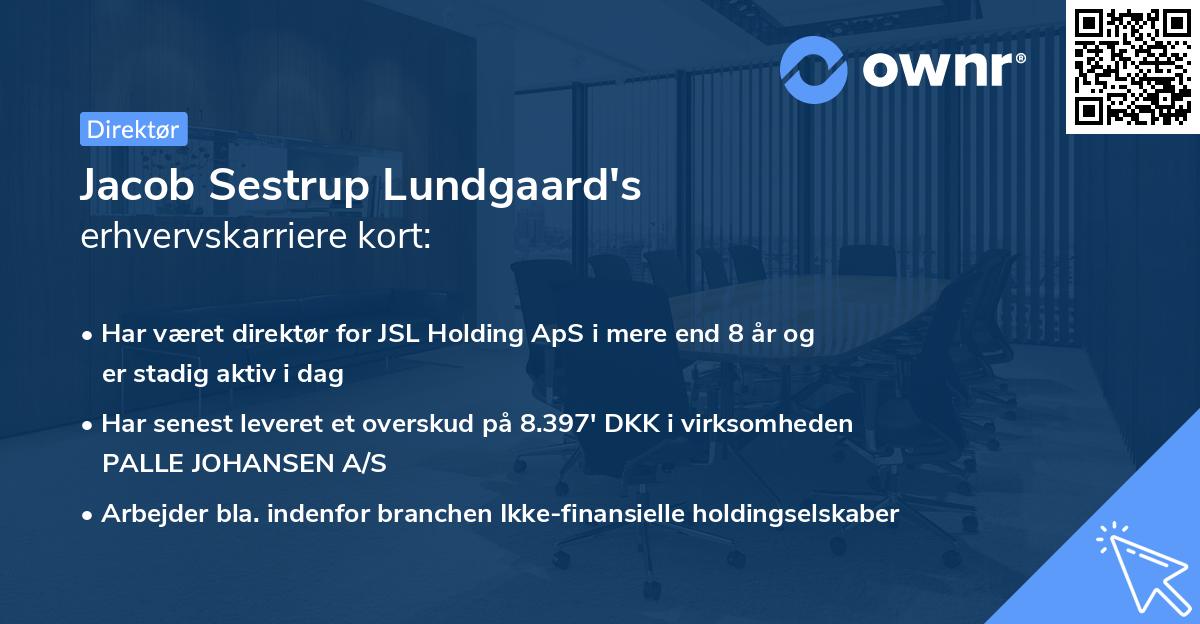 Jacob Sestrup Lundgaard's erhvervskarriere kort