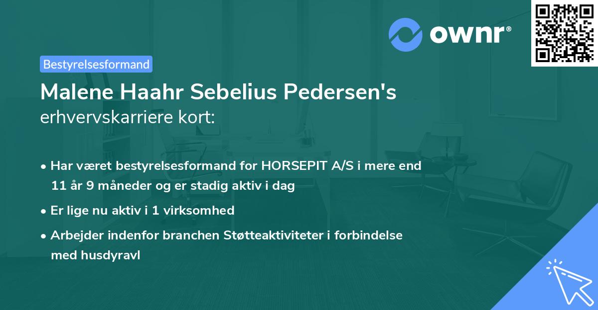 Malene Haahr Sebelius Pedersen's erhvervskarriere kort