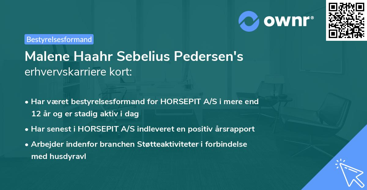 Malene Haahr Sebelius Pedersen's erhvervskarriere kort