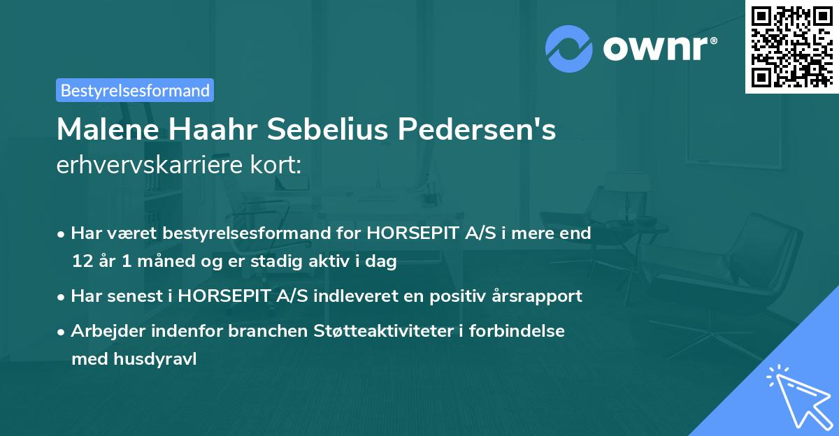 Malene Haahr Sebelius Pedersen's erhvervskarriere kort