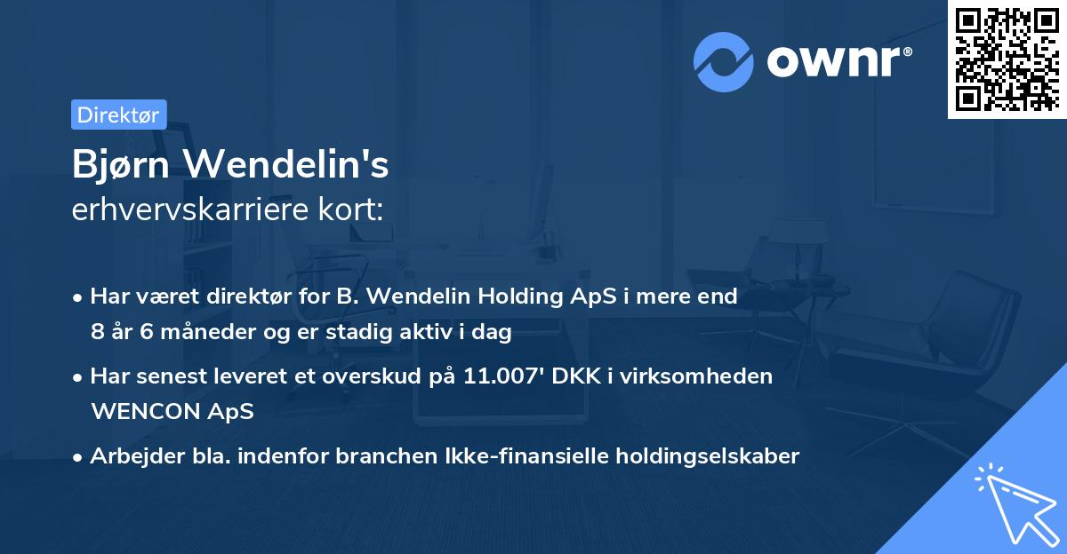 Bjørn Wendelin's erhvervskarriere kort