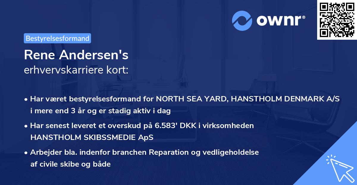 Rene Andersen's erhvervskarriere kort