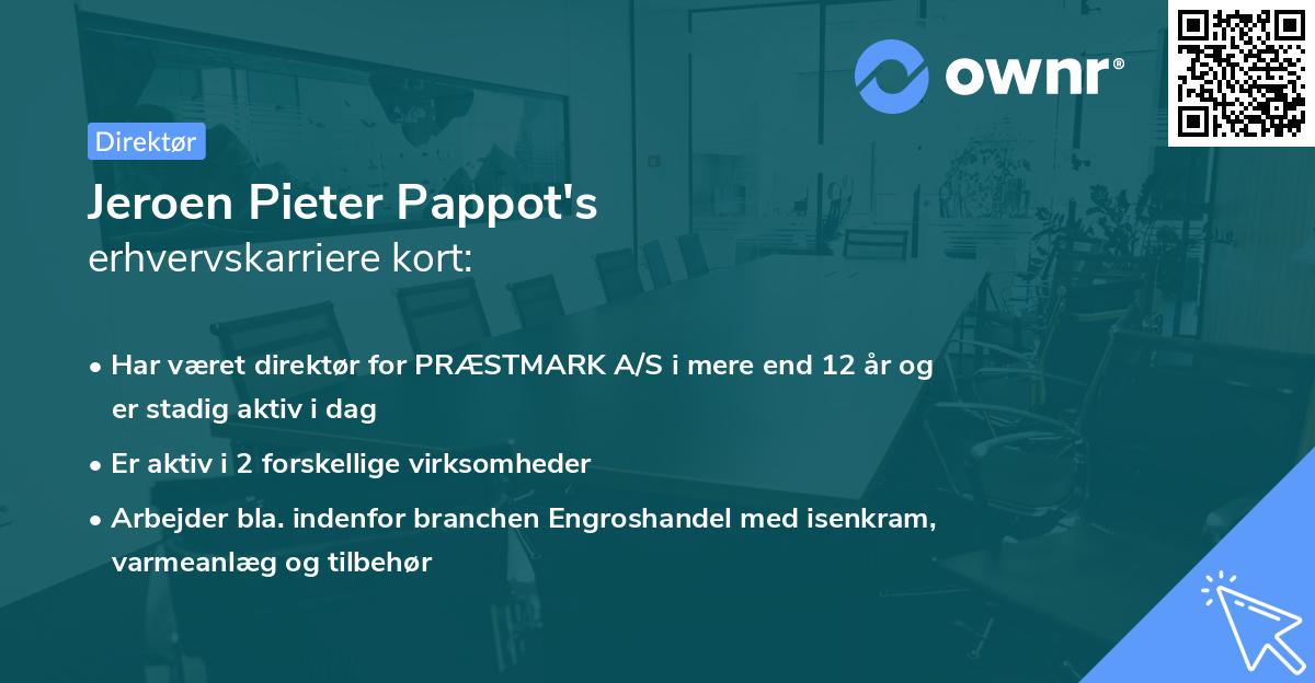 Jeroen Pieter Pappot's erhvervskarriere kort