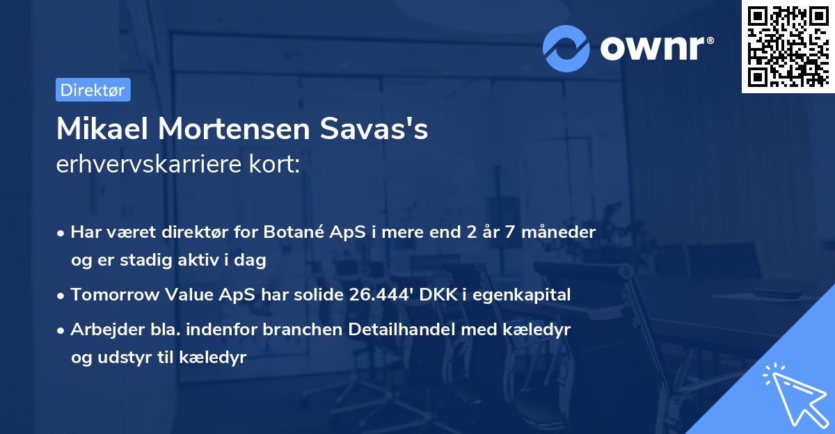 Mikael Mortensen Savas's erhvervskarriere kort