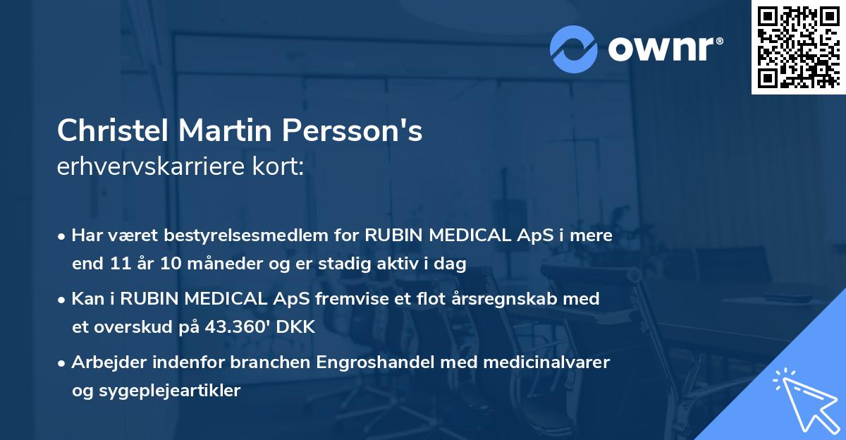 Christel Martin Persson's erhvervskarriere kort