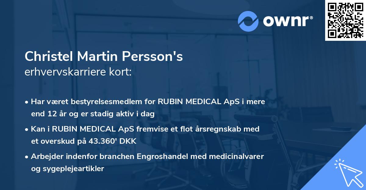 Christel Martin Persson's erhvervskarriere kort