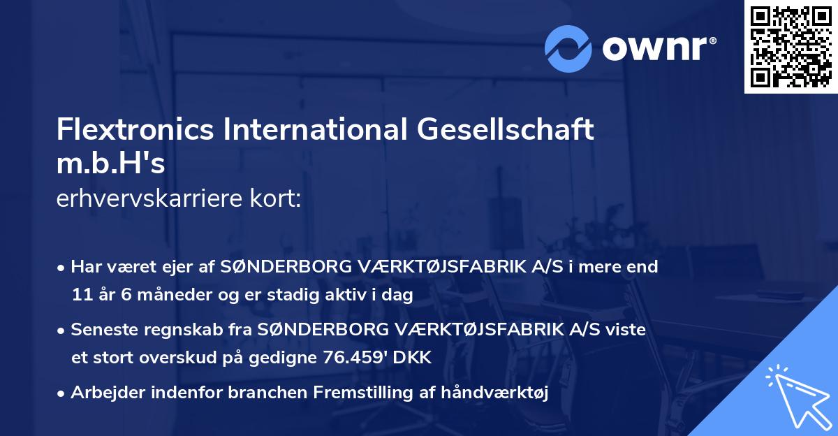 Flextronics International Gesellschaft m.b.H's erhvervskarriere kort