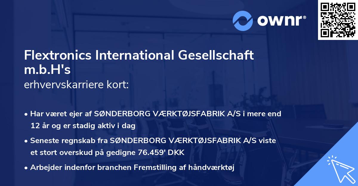Flextronics International Gesellschaft m.b.H's erhvervskarriere kort