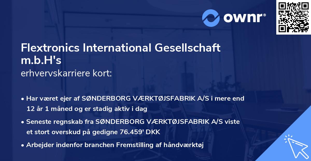 Flextronics International Gesellschaft m.b.H's erhvervskarriere kort