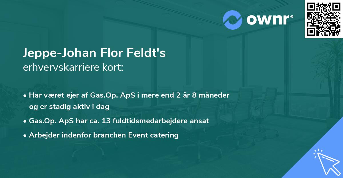 Jeppe-Johan Flor Feldt's erhvervskarriere kort